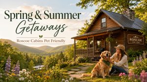 Spring & Summer Getaways at Roscoe Cabins Pet Friendly: Your Perfect Catskills Escape With Your Pets